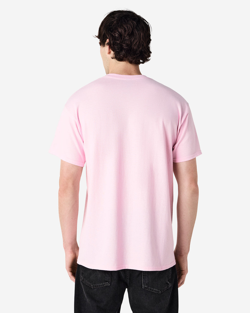 Gildan Ultra Cotton Adult T-Shirt (2000)