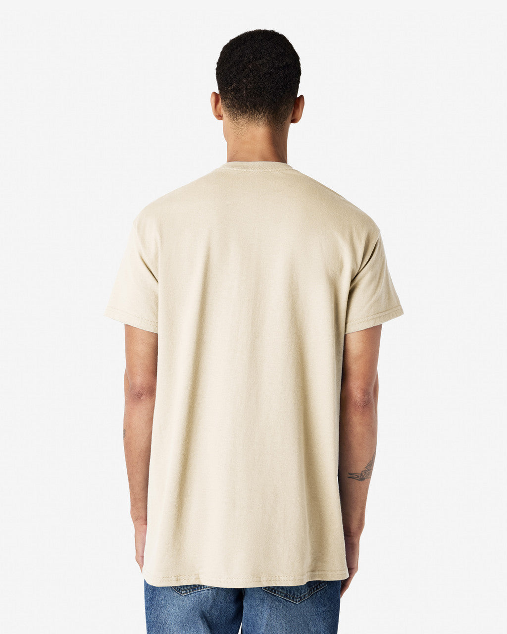 Gildan Ultra Cotton Adult T-Shirt (2000)