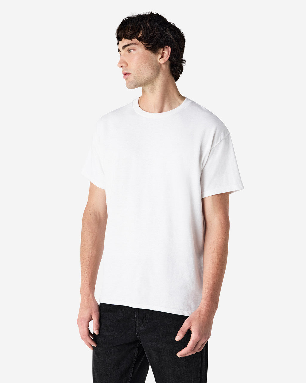 Gildan Ultra Cotton Adult T-Shirt (2000)