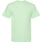 American Apparel Adult T-Shirt 1st (19 Colour)-(1301)