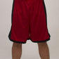 Be Seen Adults Basketball Shorts (BSSH2065)