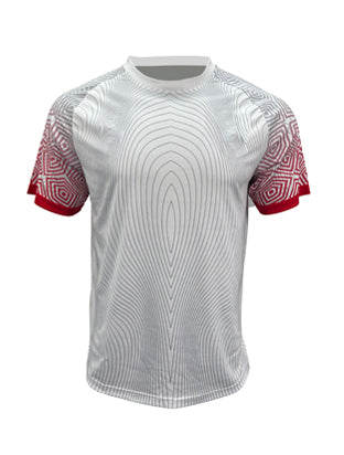 Bocini Adults World Cup Jersey (FWC2229)