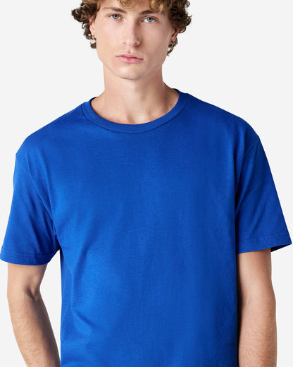 American Apparel Adult T-Shirt (1301)