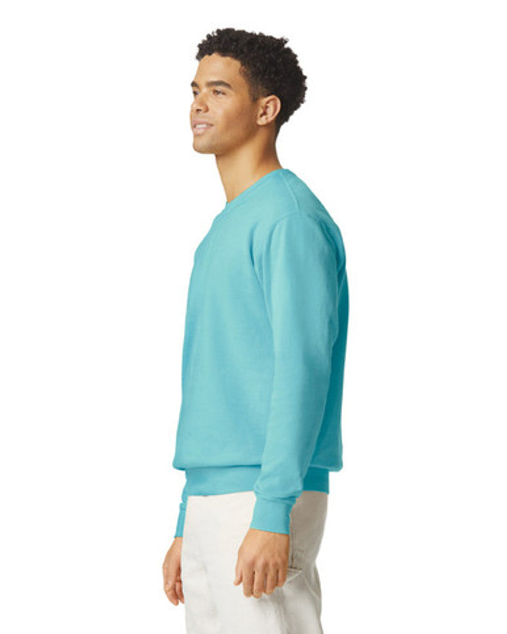 Comfort Colors Lightweight Adult Crewneck Sweatshirt (1466)