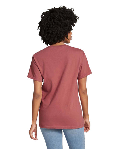 Comfort Colors Adult Heavyweight T-Shirt (1717)