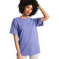 Comfort Colors Adult Heavyweight T-Shirt (1717) 3rd colour