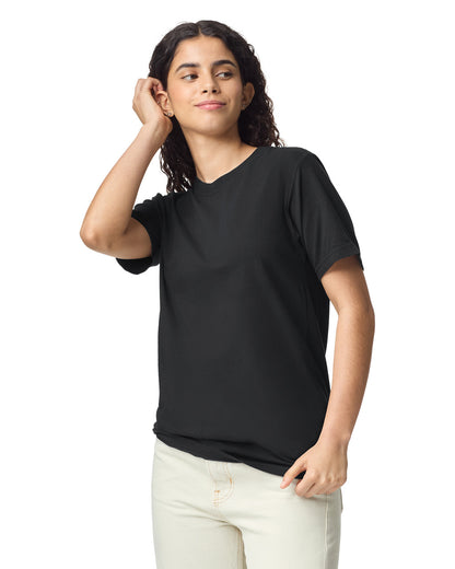 Comfort Colors Adult Heavyweight T-Shirt (1717)