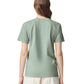 Comfort Colors Adult Heavyweight T-Shirt (1717)
