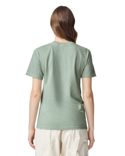Comfort Colors Adult Heavyweight T-Shirt (1717)