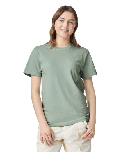 Comfort Colors Adult Heavyweight T-Shirt (1717)