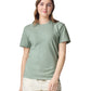 Comfort Colors Adult Heavyweight T-Shirt (1717)