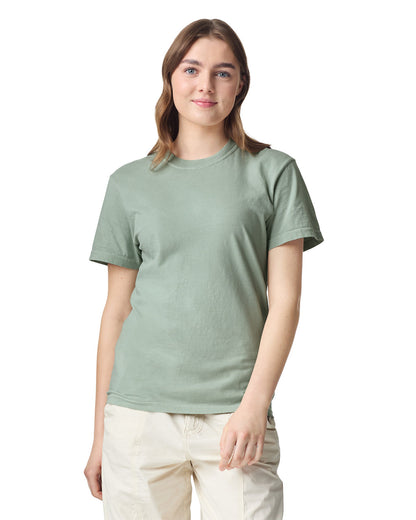 Comfort Colors Adult Heavyweight T-Shirt (1717)