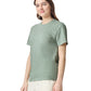 Comfort Colors Adult Heavyweight T-Shirt (1717)