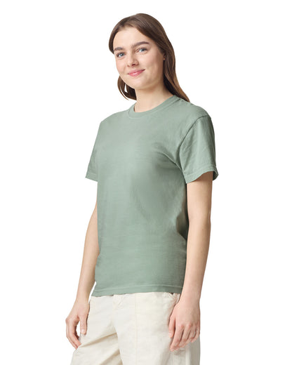 Comfort Colors Adult Heavyweight T-Shirt (1717)