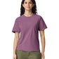 Comfort Colors Adult Heavyweight T-Shirt (1717)