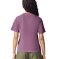 Comfort Colors Adult Heavyweight T-Shirt (1717)
