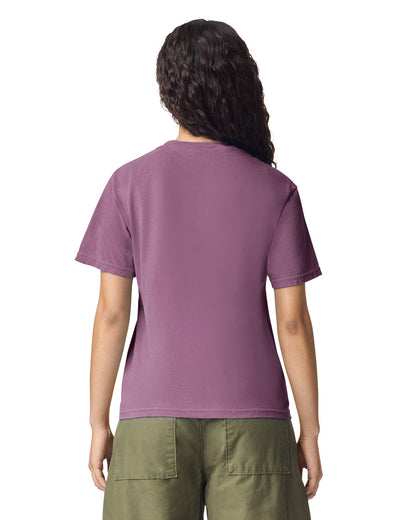 Comfort Colors Adult Heavyweight T-Shirt (1717)