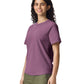 Comfort Colors Adult Heavyweight T-Shirt (1717)