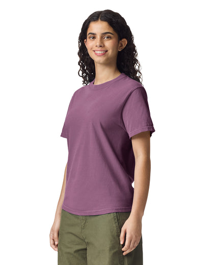 Comfort Colors Adult Heavyweight T-Shirt (1717)