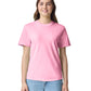 Comfort Colors Adult Heavyweight T-Shirt (1717)