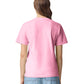 Comfort Colors Adult Heavyweight T-Shirt (1717)