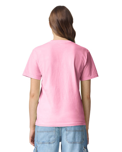 Comfort Colors Adult Heavyweight T-Shirt (1717)