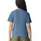 Comfort Colors Adult Heavyweight T-Shirt (1717)