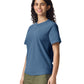 Comfort Colors Adult Heavyweight T-Shirt (1717)