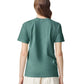 Comfort Colors Adult Heavyweight T-Shirt (1717)