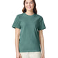Comfort Colors Adult Heavyweight T-Shirt (1717)