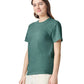 Comfort Colors Adult Heavyweight T-Shirt (1717)
