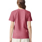 Comfort Colors Adult Heavyweight T-Shirt (1717)