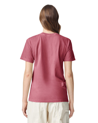 Comfort Colors Adult Heavyweight T-Shirt (1717)