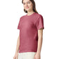 Comfort Colors Adult Heavyweight T-Shirt (1717)