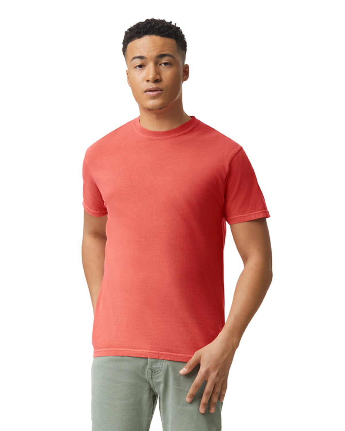 Comfort Colors Adult Heavyweight T-Shirt (1717) 2nd Color