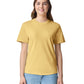 Comfort Colors Adult Heavyweight T-Shirt (1717)