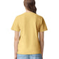 Comfort Colors Adult Heavyweight T-Shirt (1717)