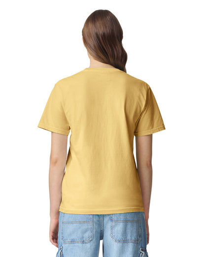 Comfort Colors Adult Heavyweight T-Shirt (1717)