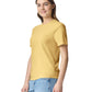 Comfort Colors Adult Heavyweight T-Shirt (1717)