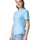 Comfort Colors Adult Heavyweight T-Shirt (1717)
