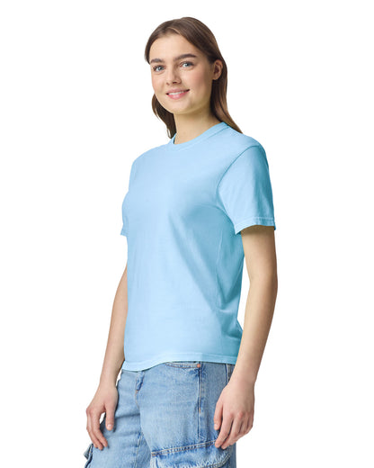 Comfort Colors Adult Heavyweight T-Shirt (1717)