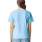 Comfort Colors Adult Heavyweight T-Shirt (1717)