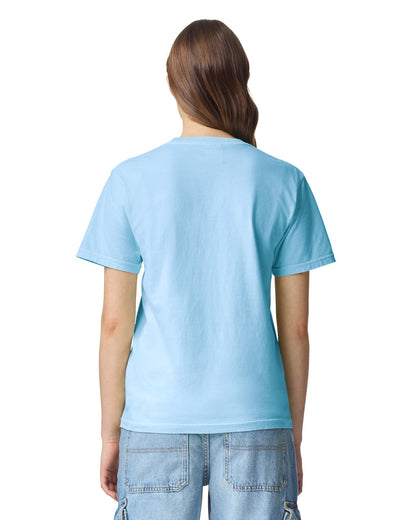 Comfort Colors Adult Heavyweight T-Shirt (1717)