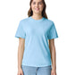 Comfort Colors Adult Heavyweight T-Shirt (1717)