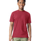 Comfort Colors Adult Heavyweight T-Shirt (1717)