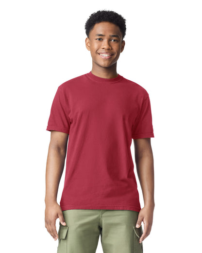 Comfort Colors Adult Heavyweight T-Shirt (1717)
