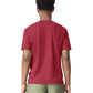 Comfort Colors Adult Heavyweight T-Shirt (1717)