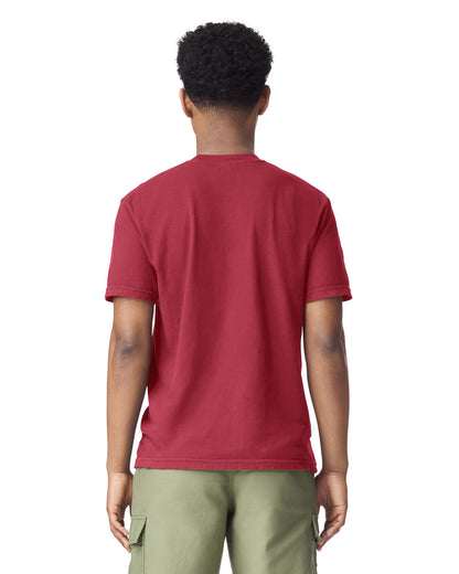 Comfort Colors Adult Heavyweight T-Shirt (1717)