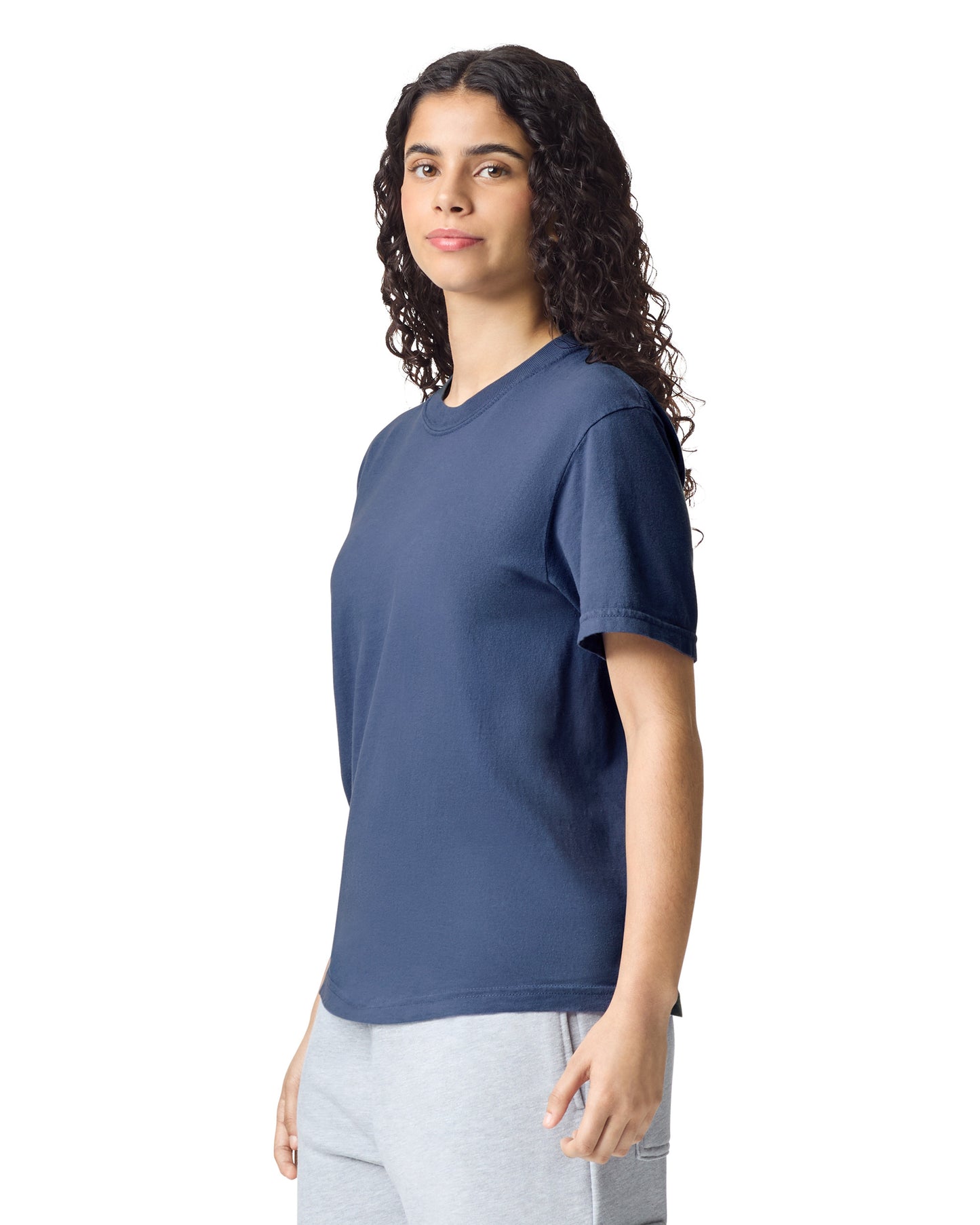 Comfort Colors Adult Heavyweight T-Shirt (1717)