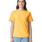 Comfort Colors Adult Heavyweight T-Shirt (1717)